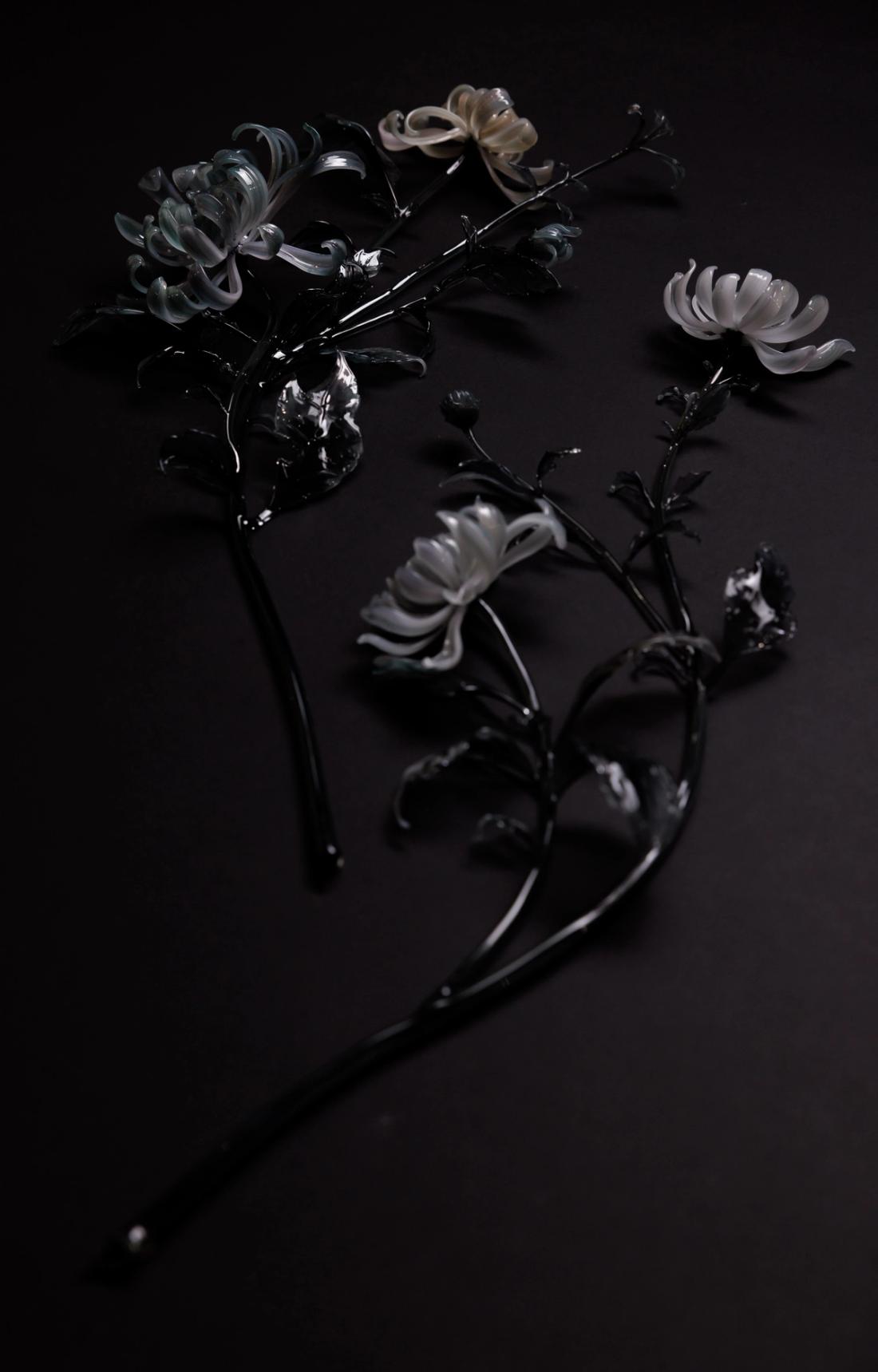 菊花 18