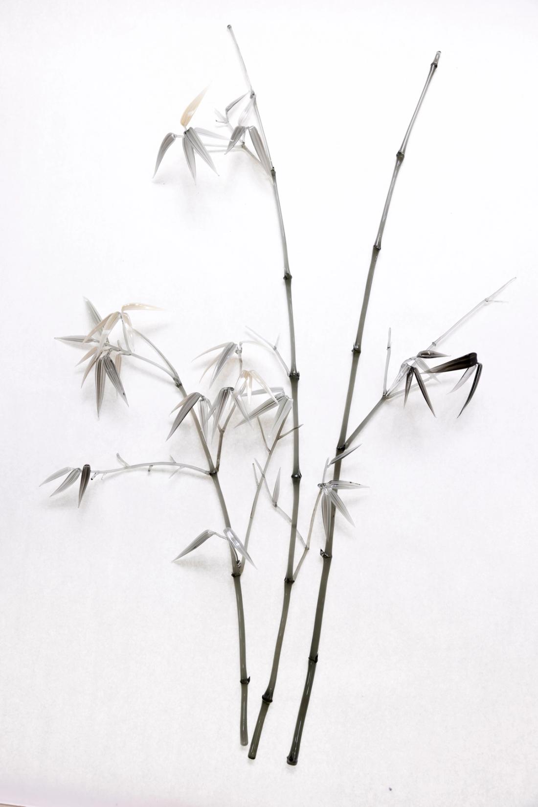 箭竹 12
