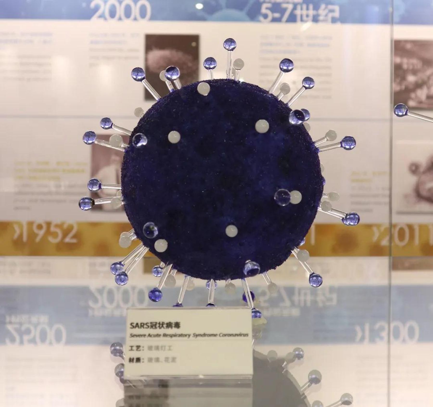 玻璃病毒模型 18