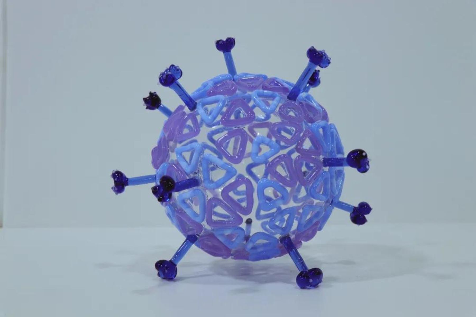 玻璃病毒模型 11