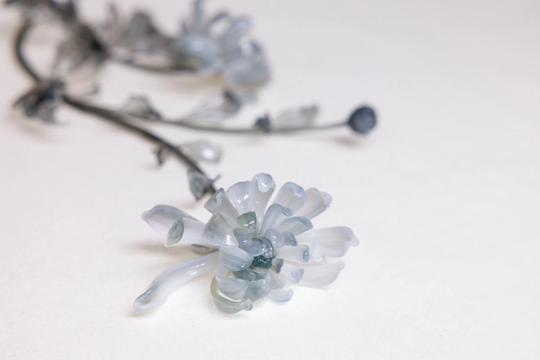 菊花 5