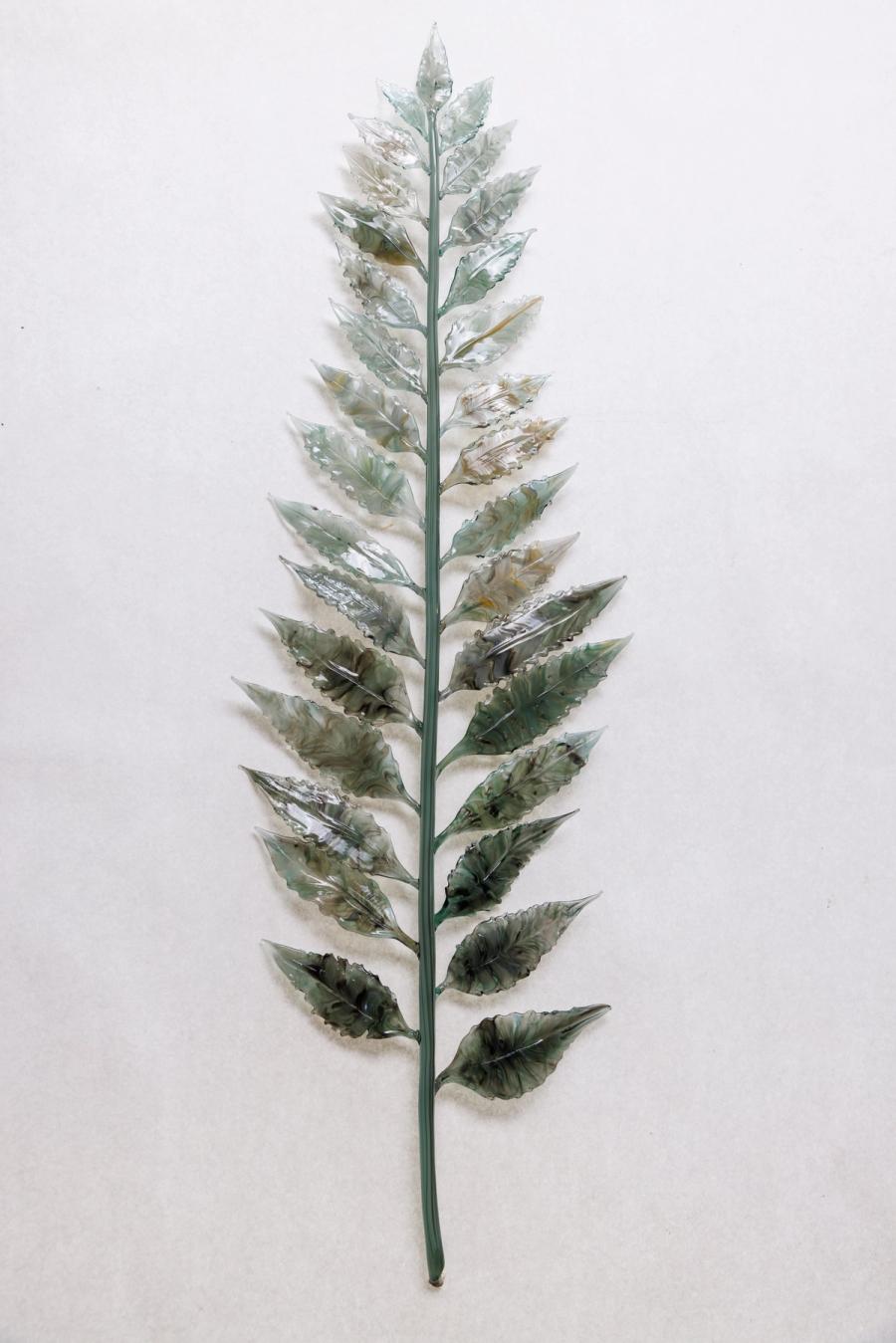 桫椤