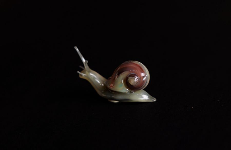 同型巴蜗牛