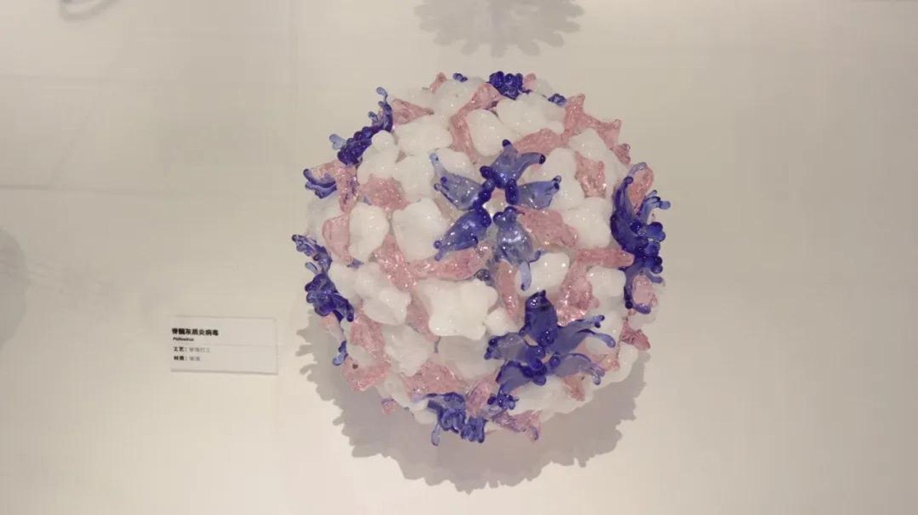 玻璃病毒模型 4