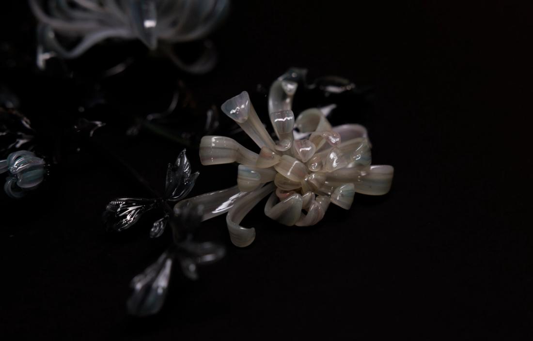 菊花 20