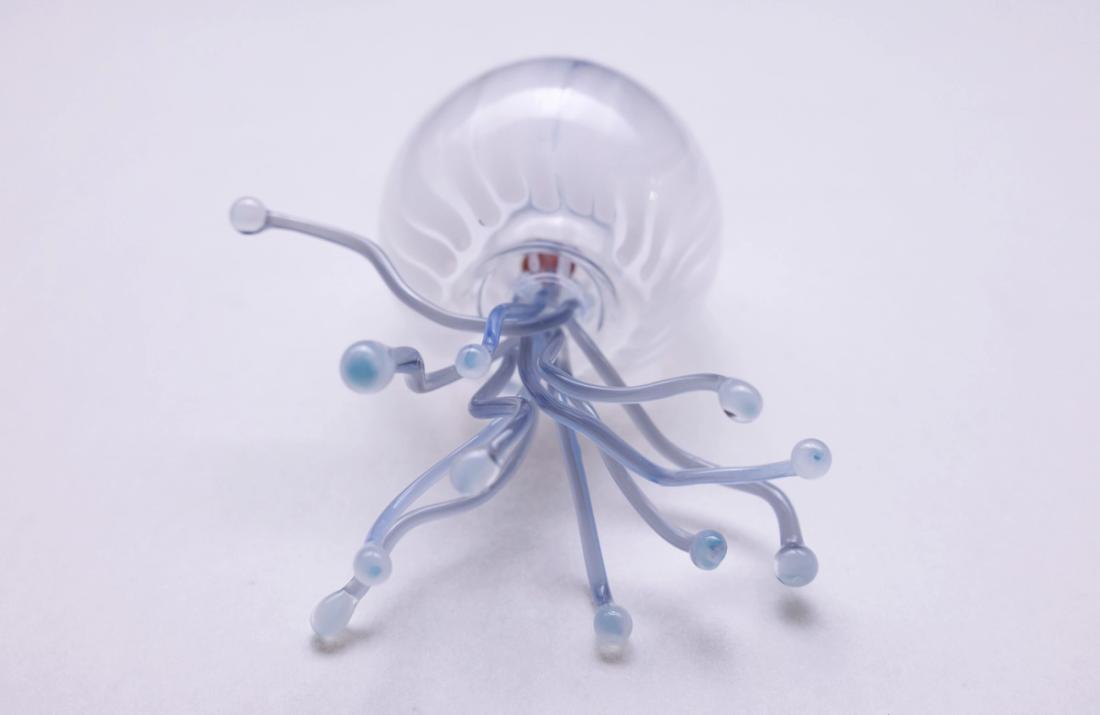 萼水母 13