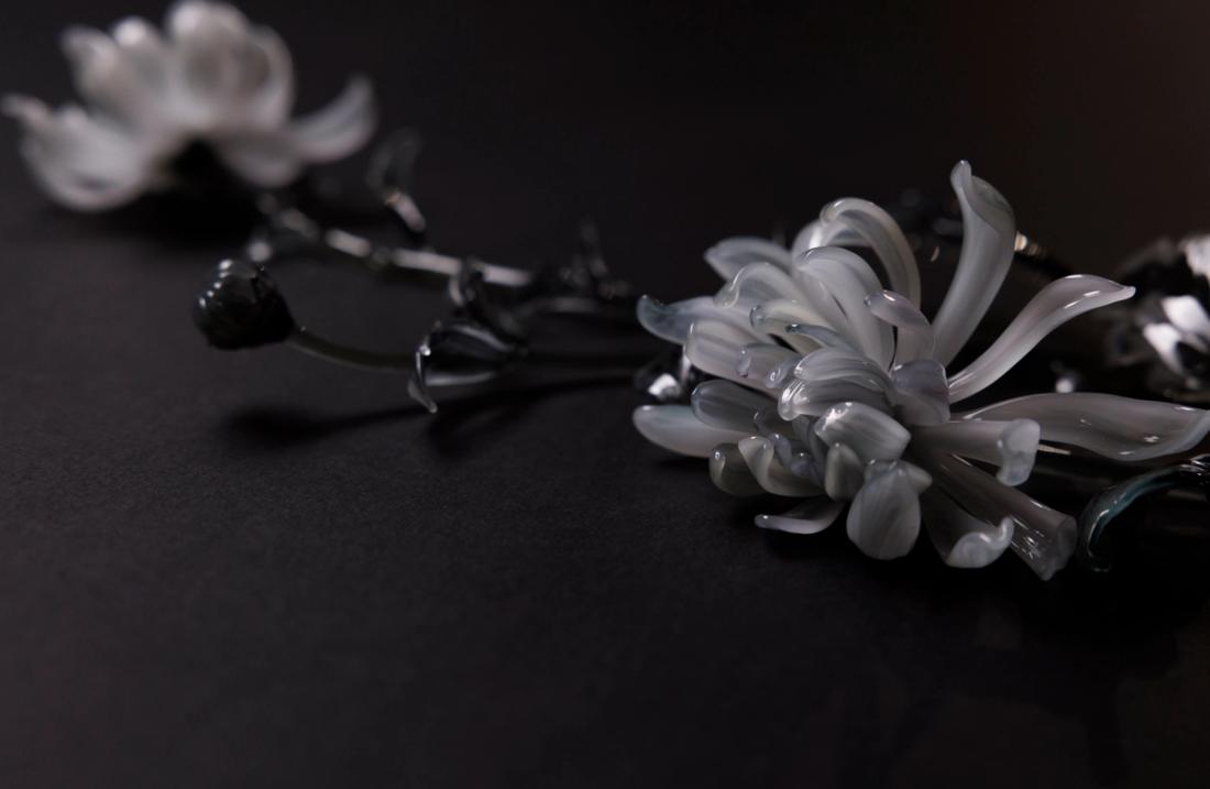 菊花 11