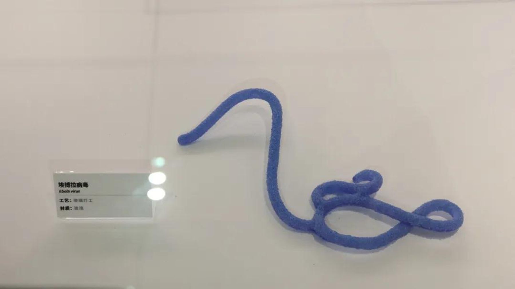 玻璃病毒模型 9