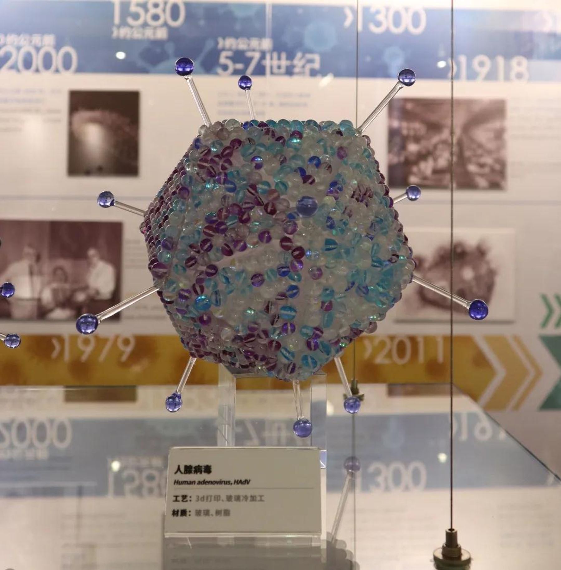 玻璃病毒模型 14