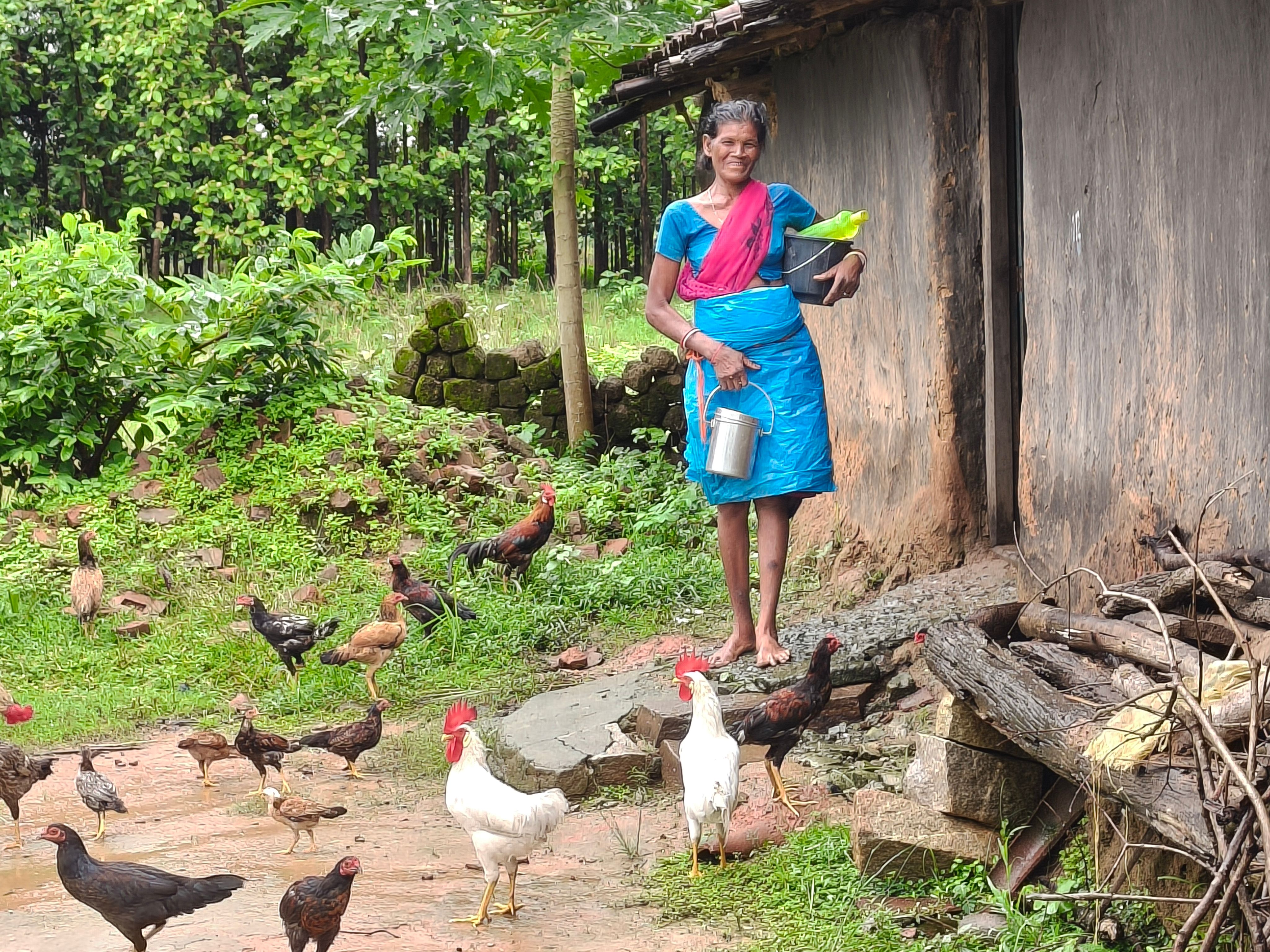 Livelihood Gallery Image 15
