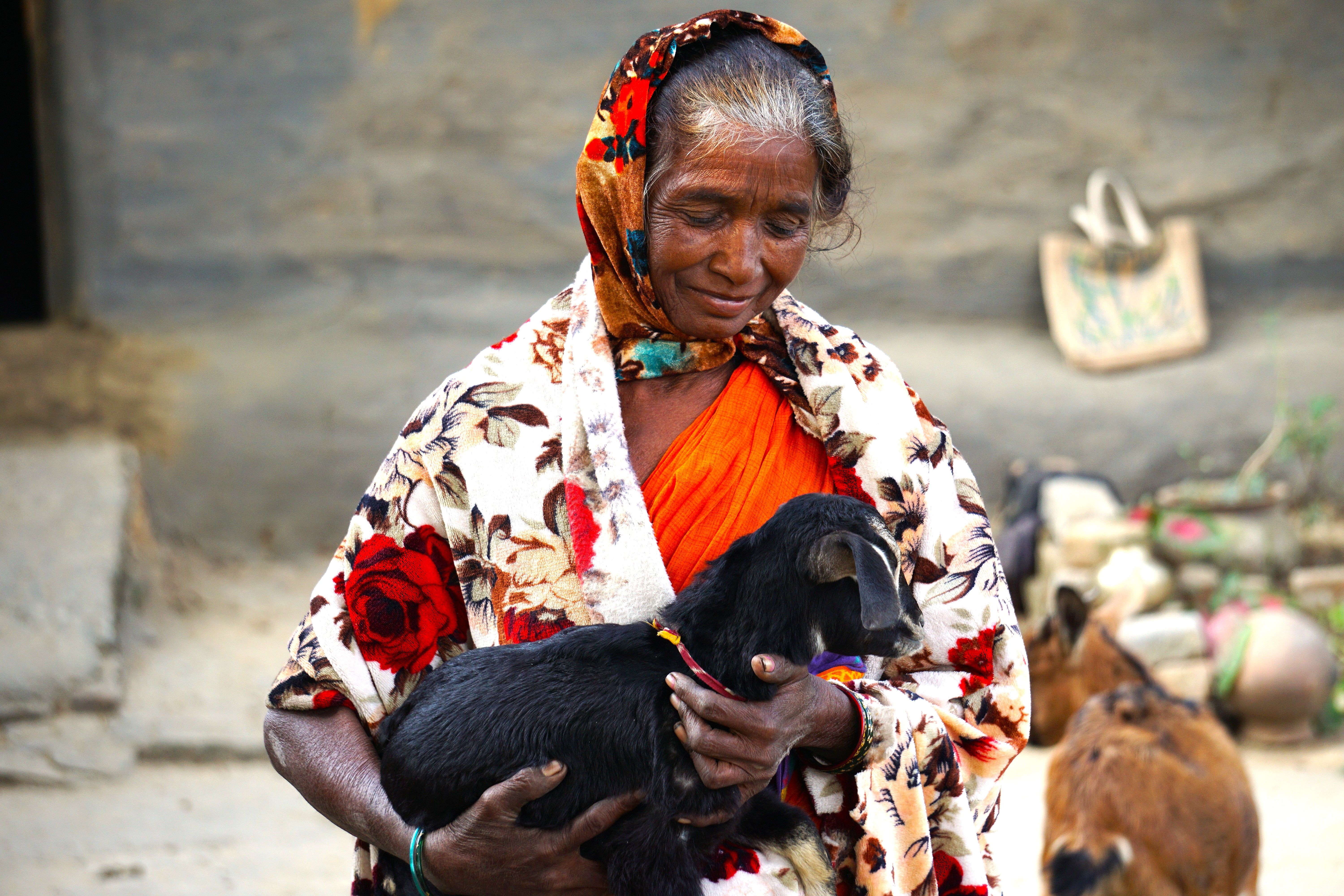 From Uncertainty to Opportunity: How Five Goats Changed a Family’s Future