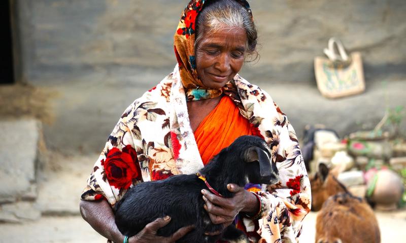 From Uncertainty to Opportunity: How Five Goats Changed a Family’s Future