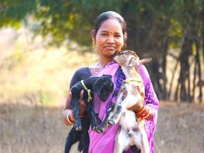 Livelihood Gallery Image 5