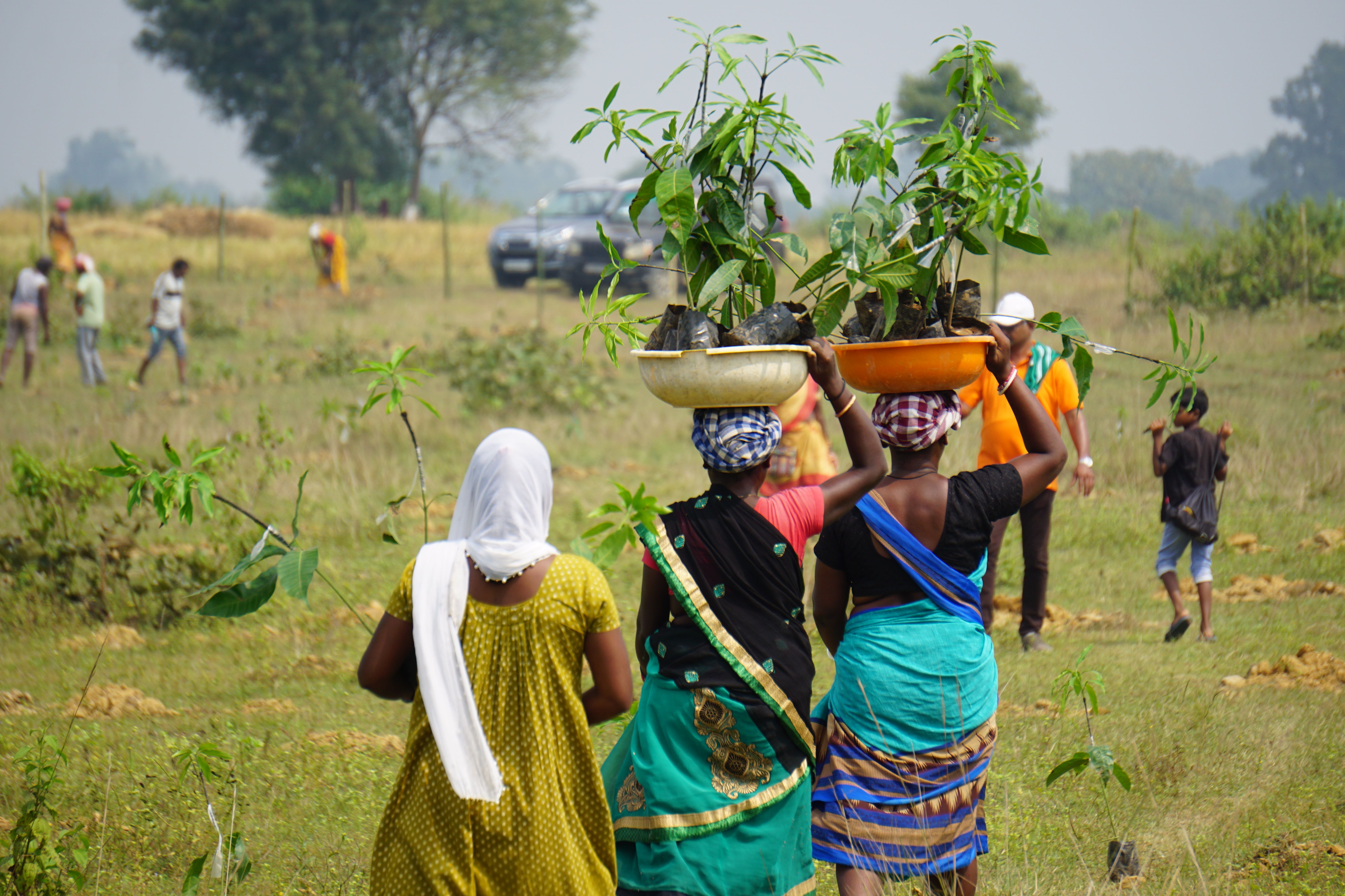 Livelihood