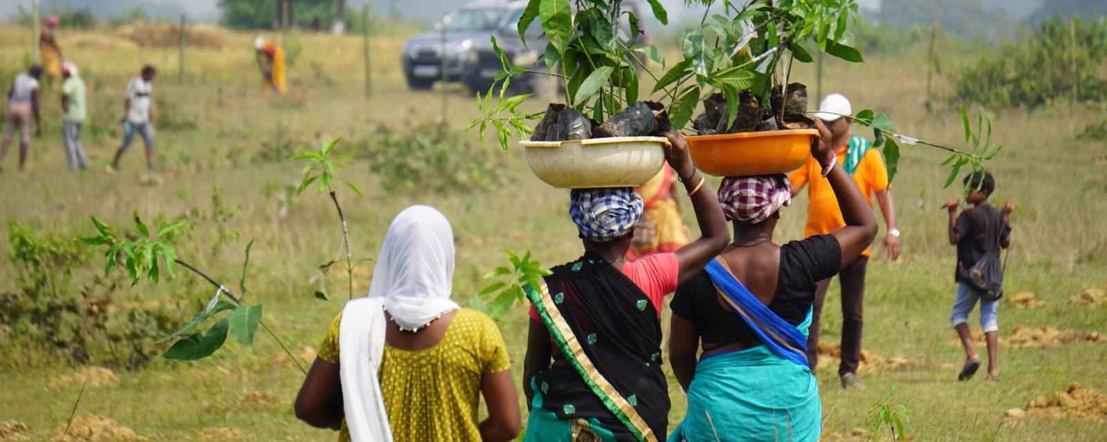Livelihood