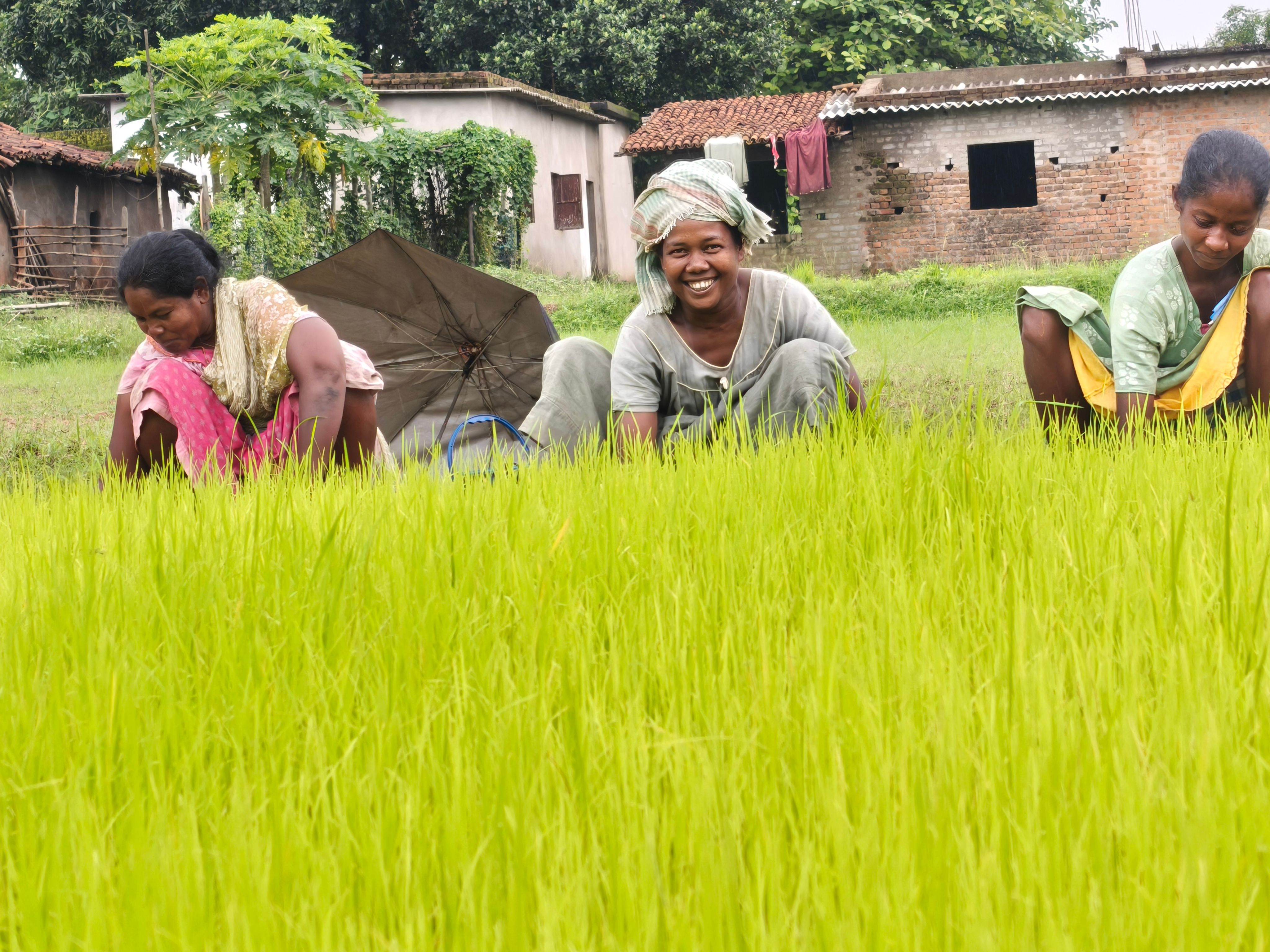 Livelihood Gallery Image 17