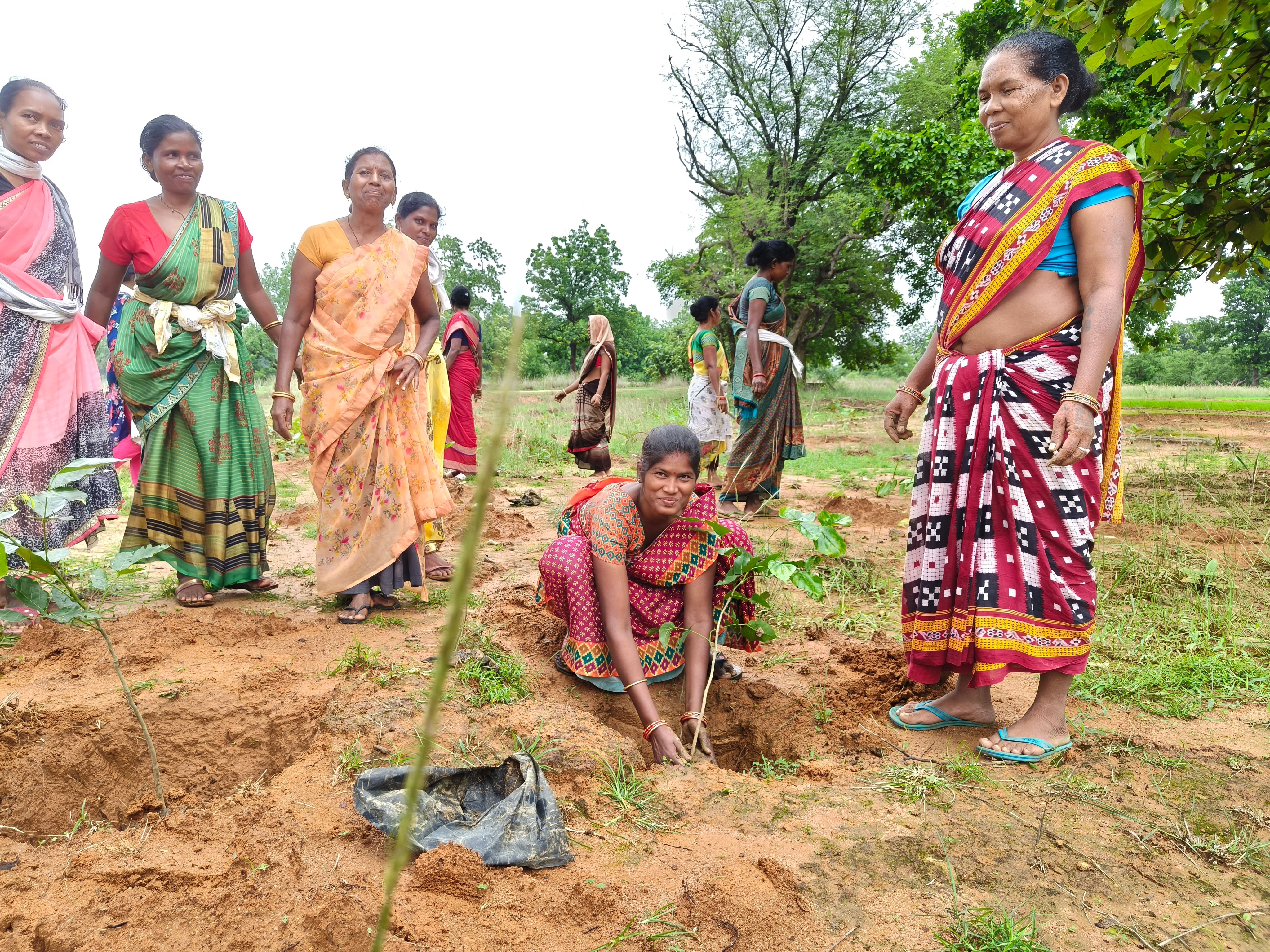 Protecting Sundargarh’s Environment: Building Resilient Communities for a Sustainable Future
