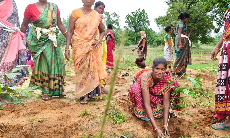 Protecting Sundargarh’s Environment: Building Resilient Communities for a Sustainable Future