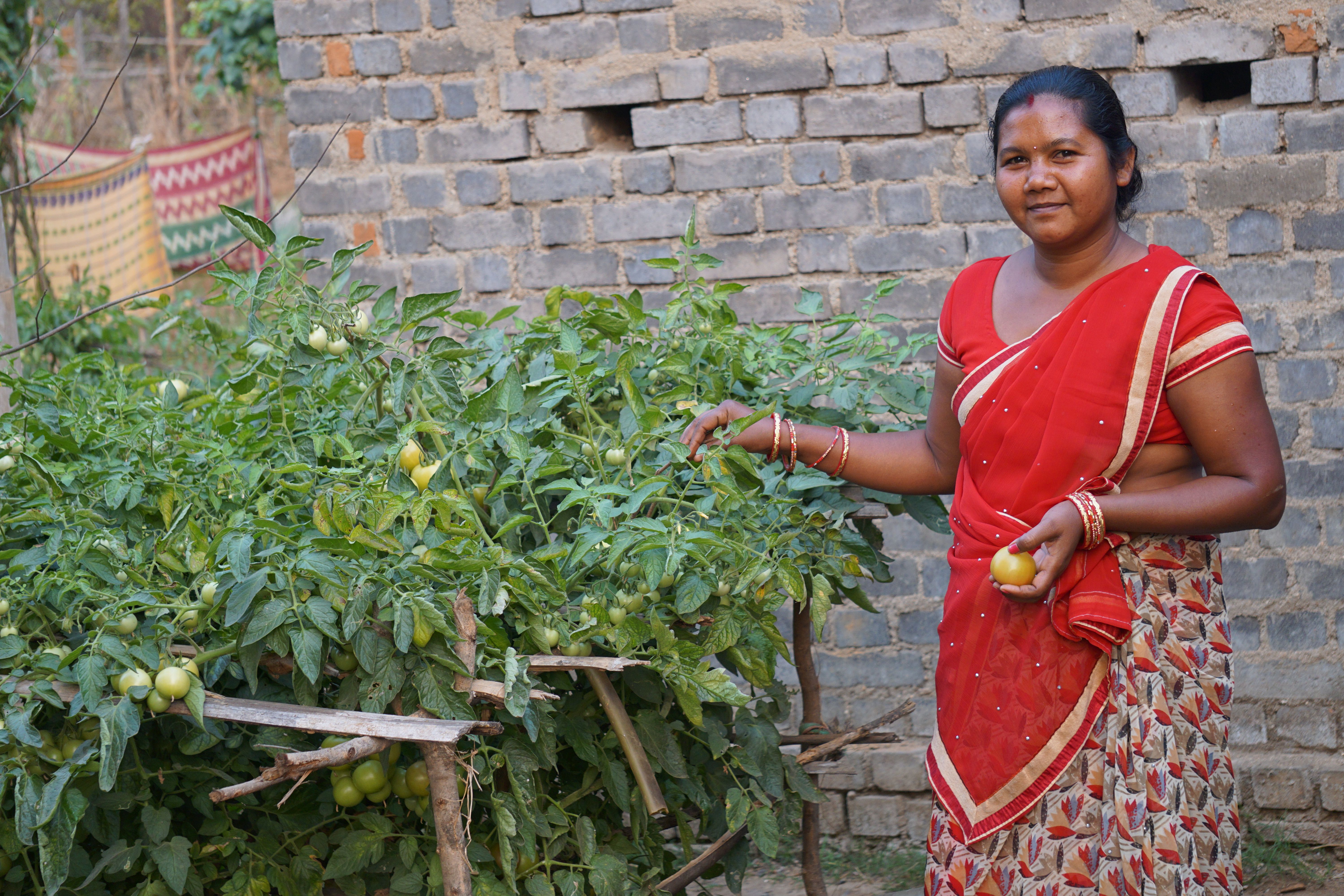 Livelihood Gallery Image 12
