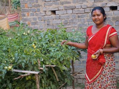 Livelihood Gallery Image 12