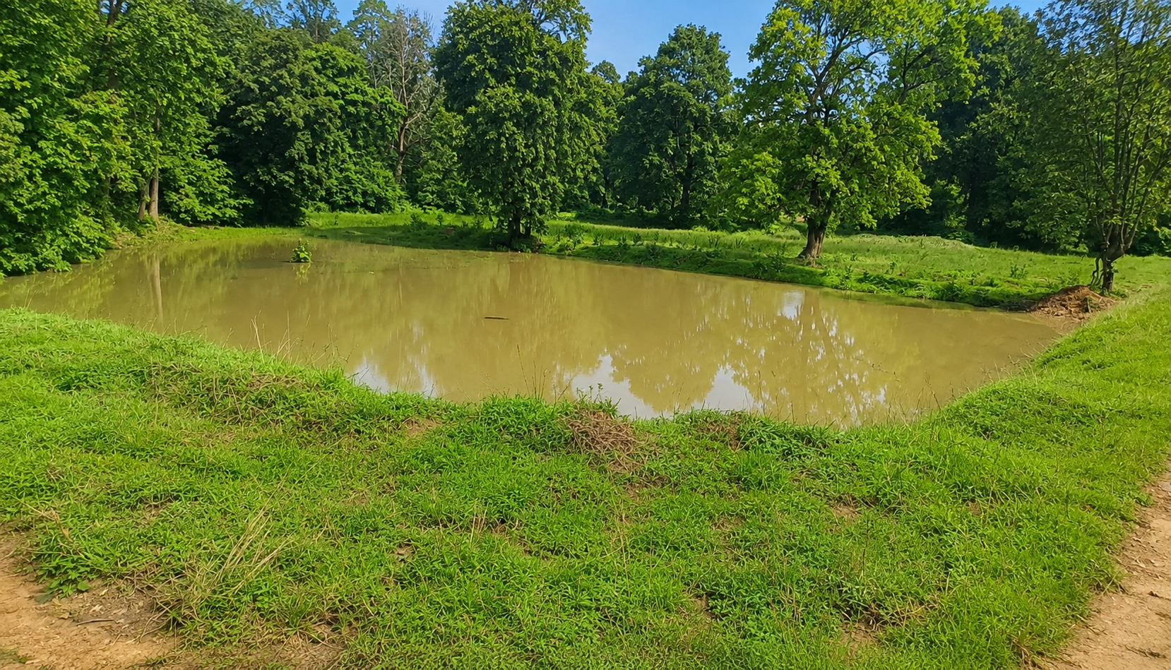 Natural Resource Management Gallery Image 8