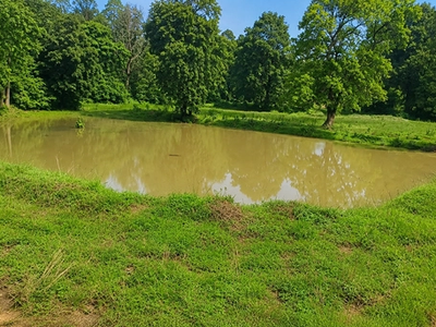 Natural Resource Management Gallery Image 8