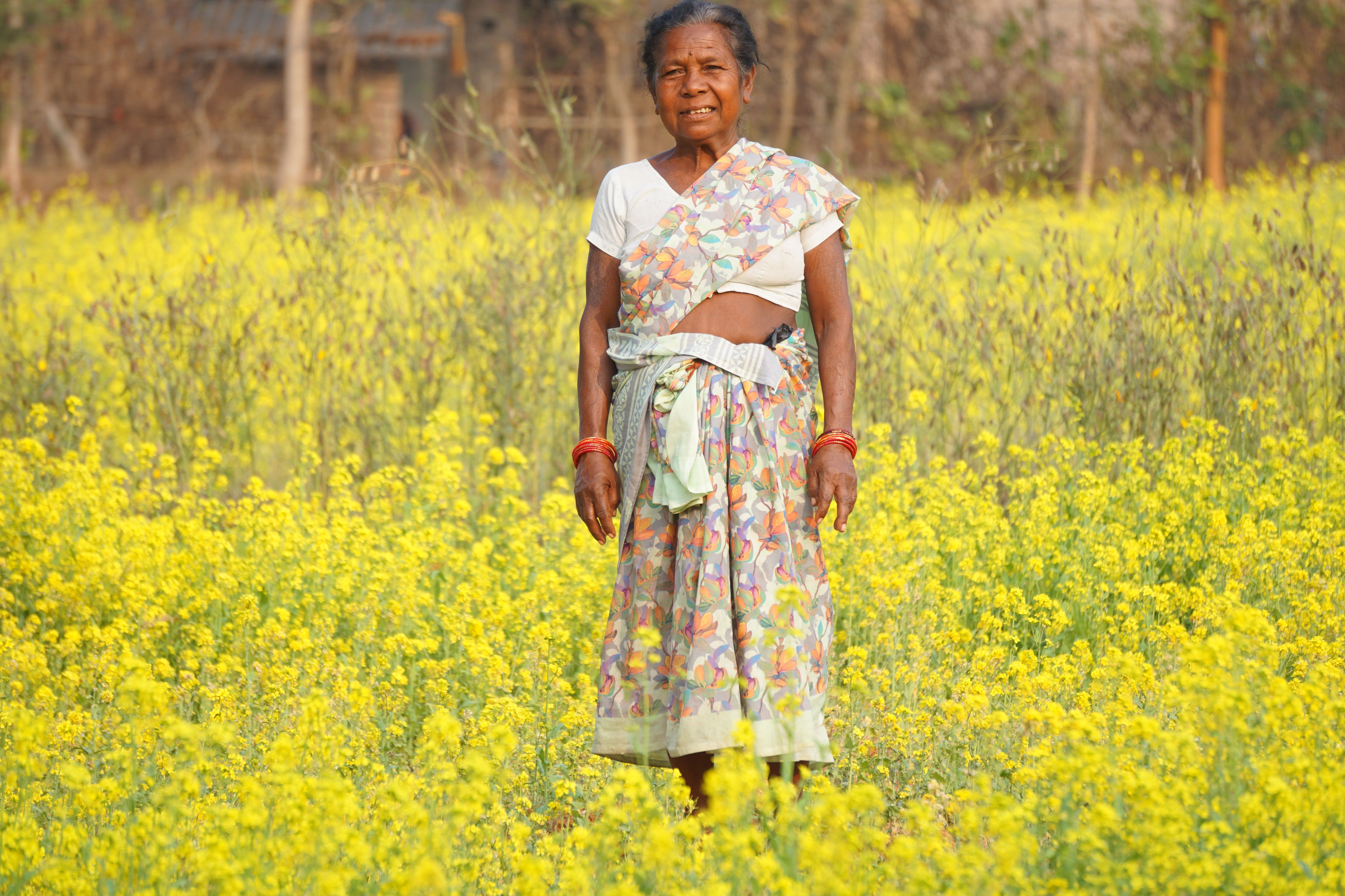 Livelihood Gallery Image 13
