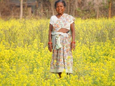 Livelihood Gallery Image 13