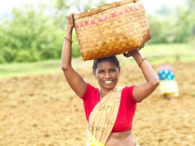 Livelihood Gallery Image 11