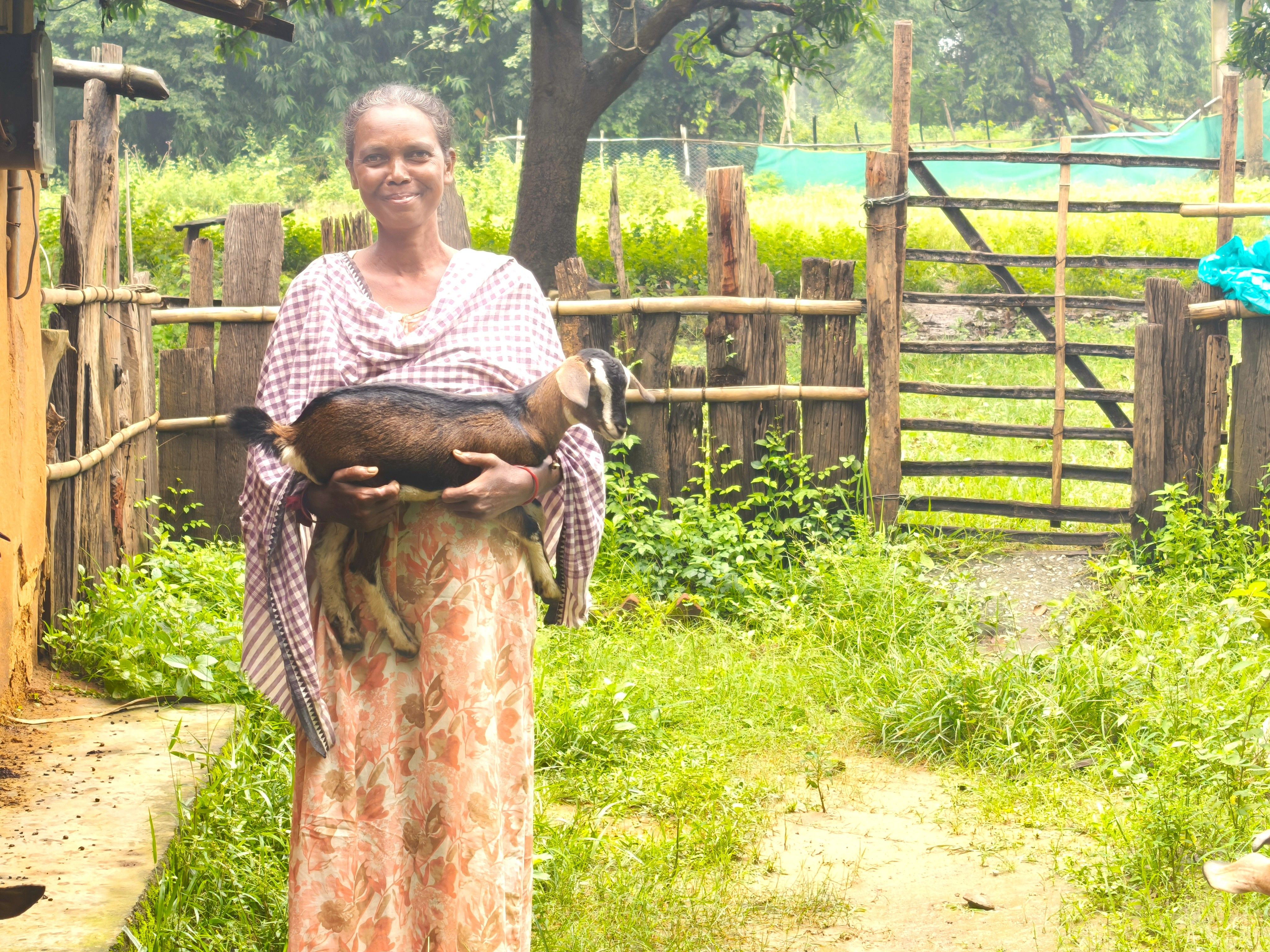 Livelihood Gallery Image 20