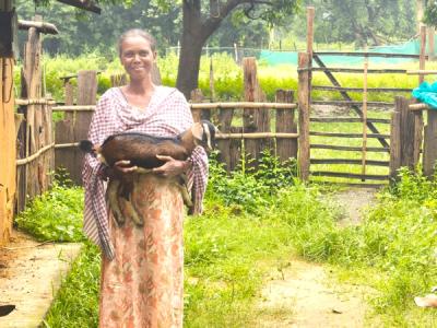 Livelihood Gallery Image 20
