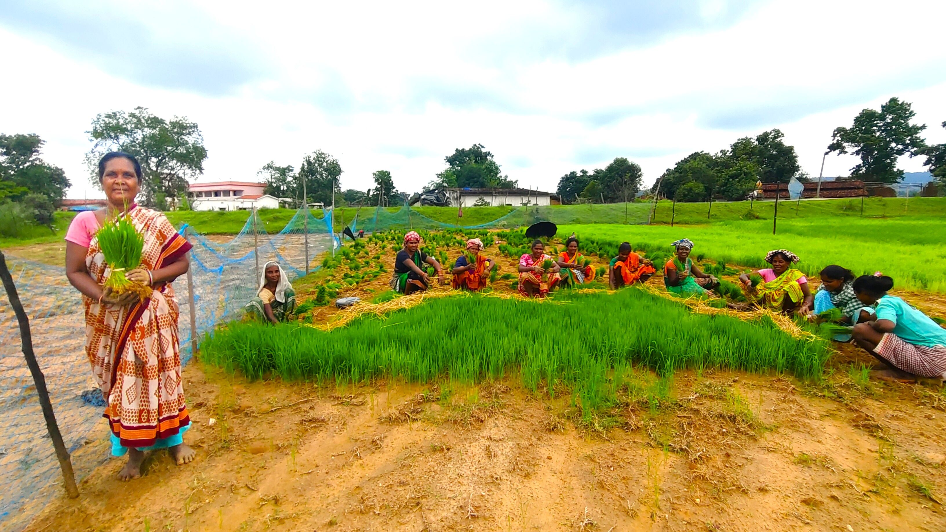 Livelihood Gallery Image 1