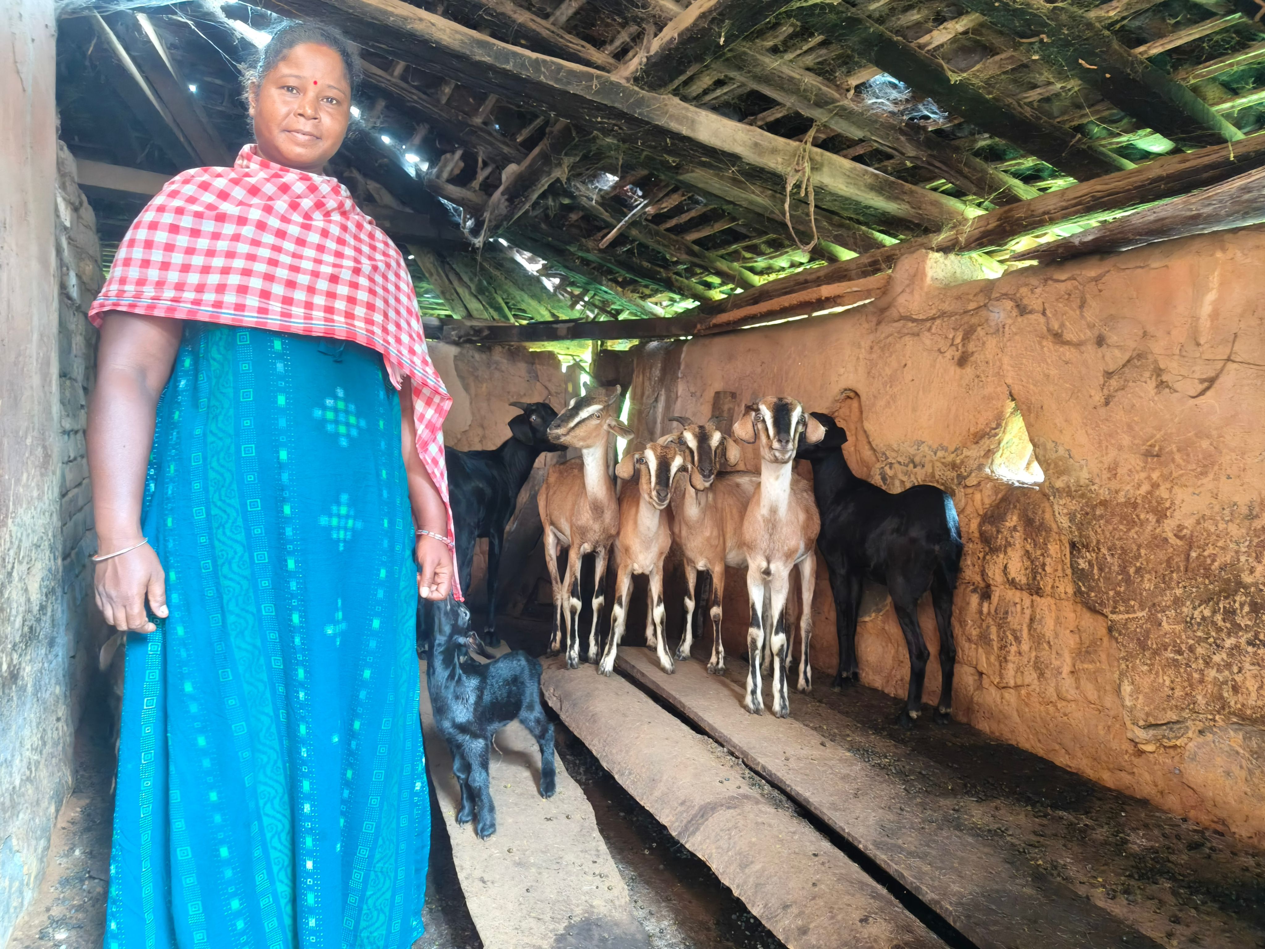 Livelihood Gallery Image 19