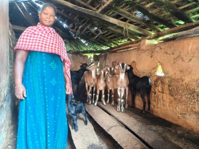 Livelihood Gallery Image 19