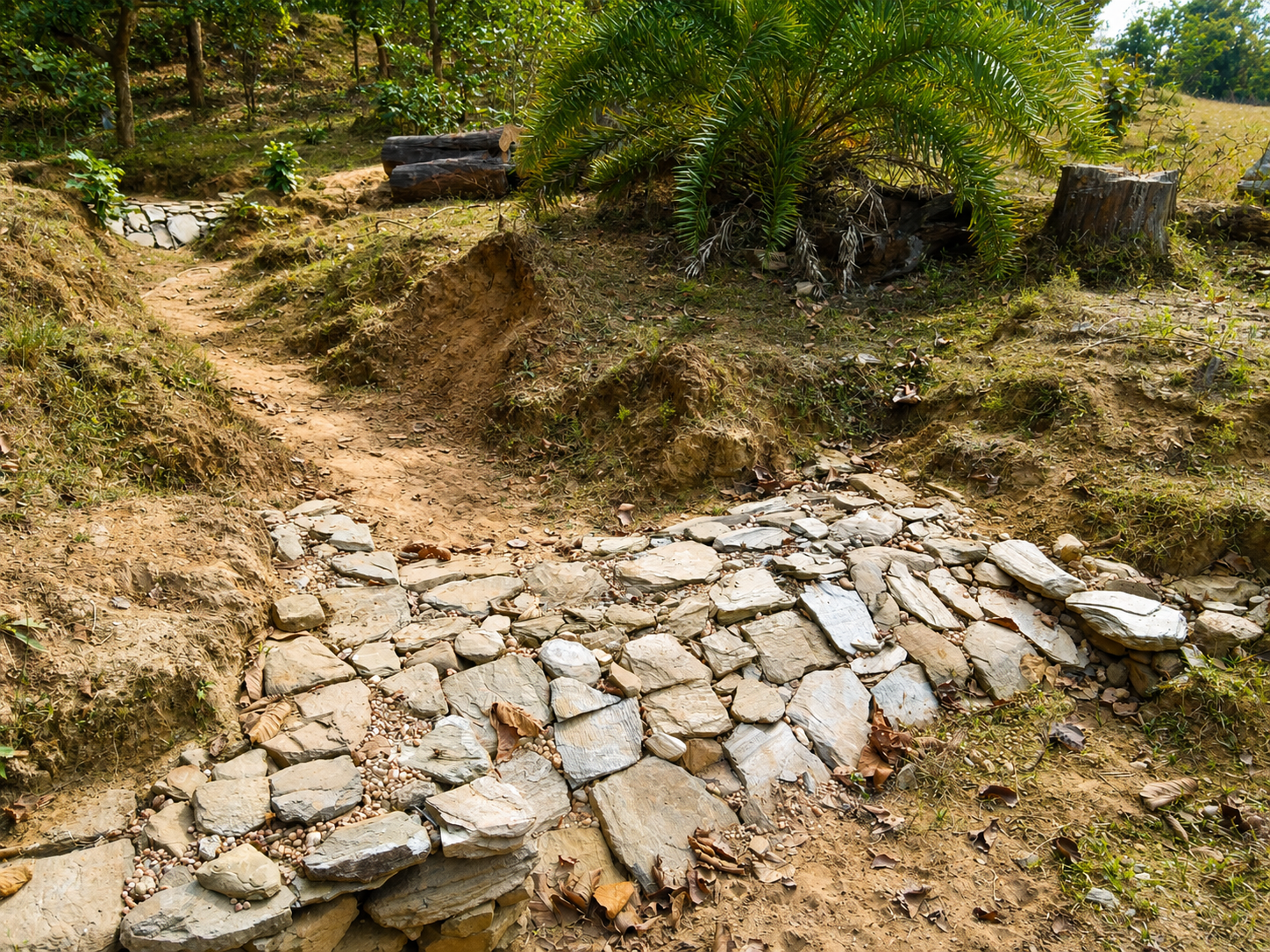 Natural Resource Management Gallery Image 4