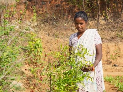 Livelihood Gallery Image 10