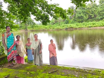 Livelihood Gallery Image 16