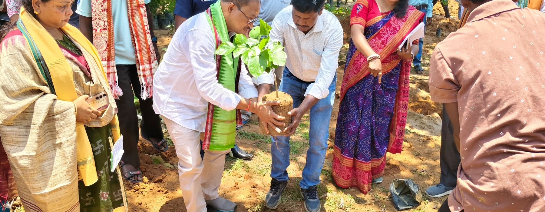 World Environment Day 2025