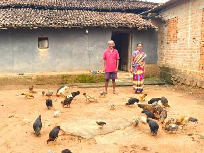Livelihood Gallery Image 8