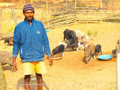 Livelihood Gallery Image 9