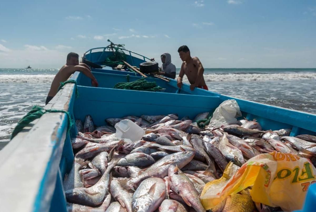 Seguridad, salud y desarrollo: las propuestas que buscan transformar la pesca artesanal en Machala