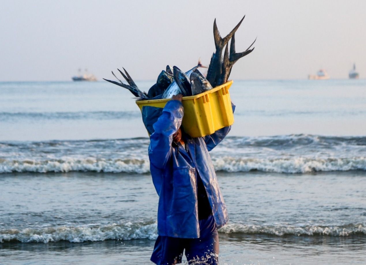 Merluza en peligro: la veda inesperada que paralizó a cientos de pescadores en la Costa ecuatoriana