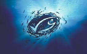 Latinoamérica pesca con responsabilidad: MSC impulsa la sostenibilidad en altamar
