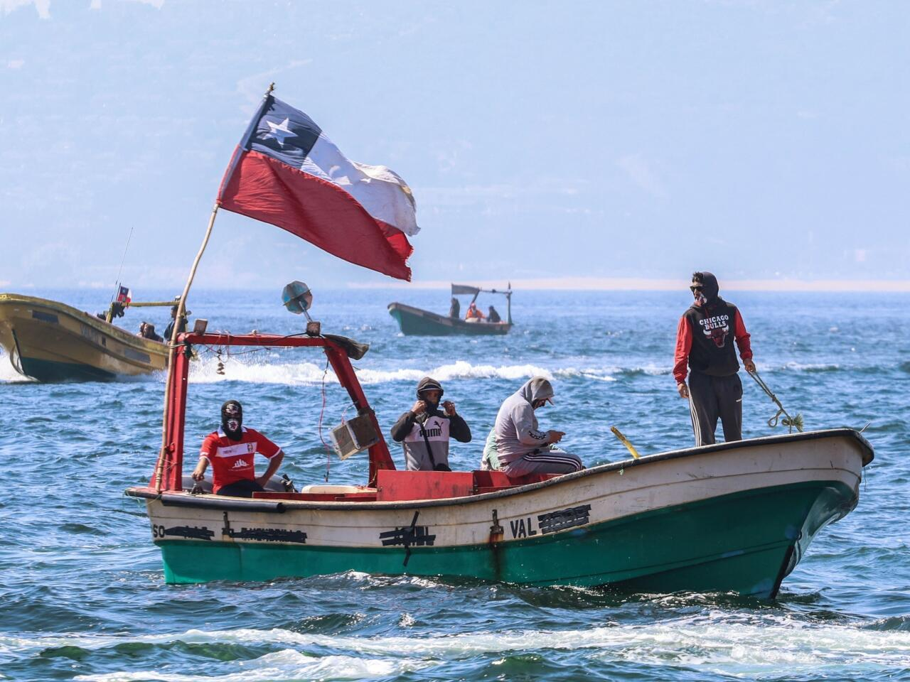 “Calamar gigante en el Pacífico Sur: Chile apuesta por la cooperación científica y la gestión responsable”