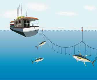 Palangre en altamar: ¿cómo lograr que esta pesca sea realmente sostenible?