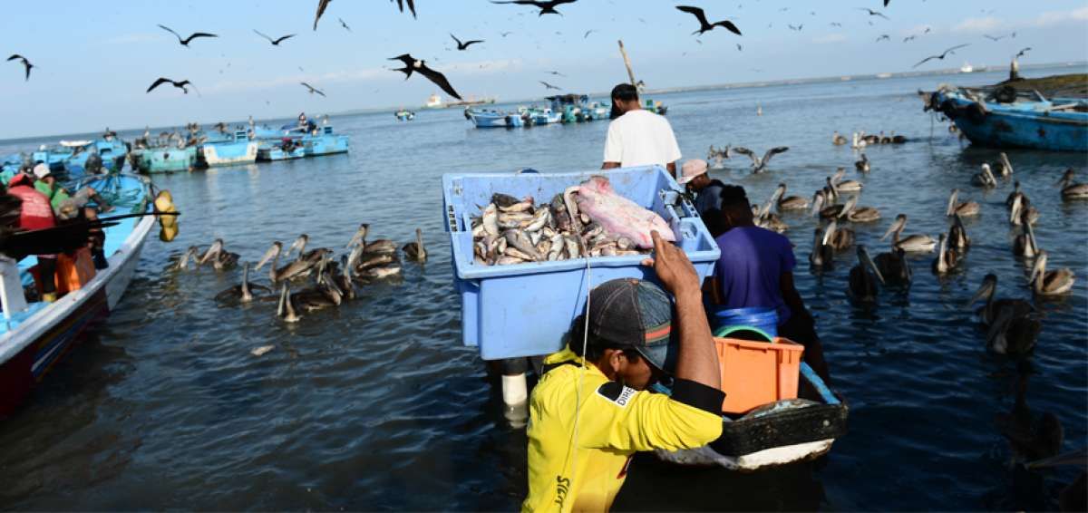 Ecuador refuerza su rumbo hacia una pesca y acuicultura sostenibles en 2023