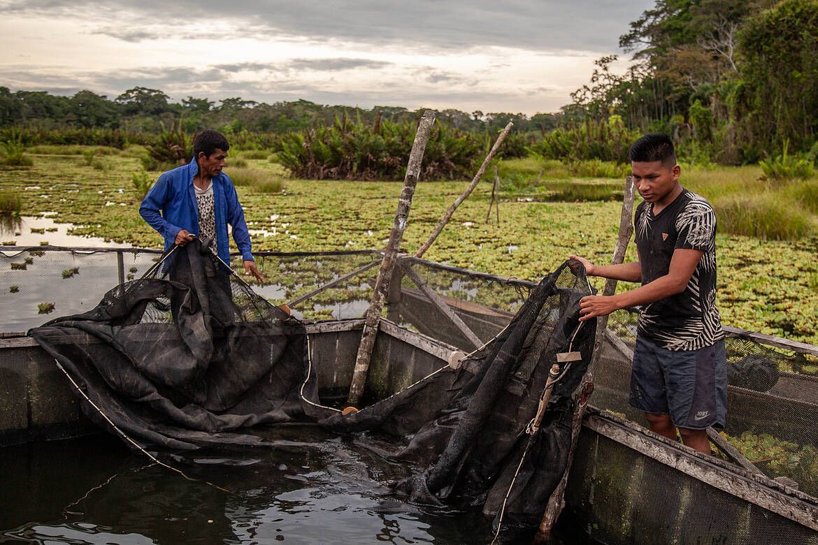 Pescadores del bosque: subsistencia, lucha y vida en la Amazonía