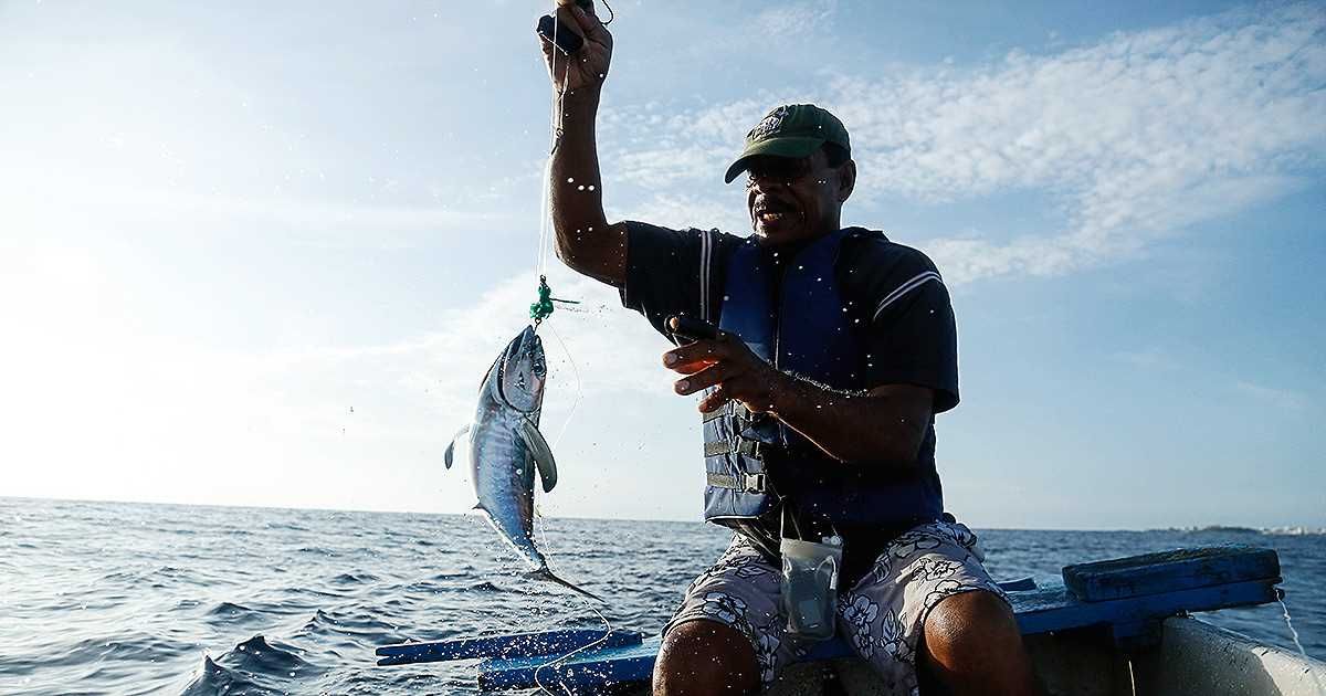 La unión que nace del mar: pescadores artesanales de América Latina fortalecen su voz en Chile