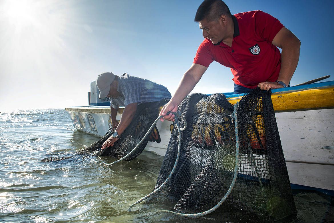 Golfo de Guayaquil: pescadores artesanales exigen atención ante abandono y contaminación
