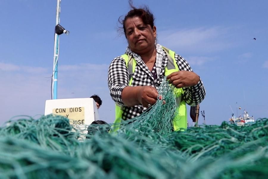 El desempeño de las mujeres en el sector pesquero artesanal